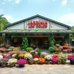 Floristería Jardín Los Colores - Sede El Rosario en Medellín - Arreglos florales frescos y entrega a domicilio 24h