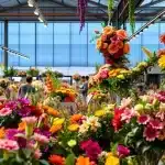 Mundo Flor en Medellín - Arreglos florales frescos y entrega a domicilio 24h